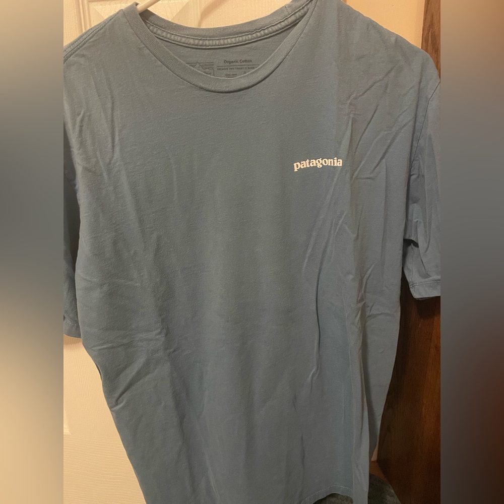 MENS PATAGONIA T-SHIRT